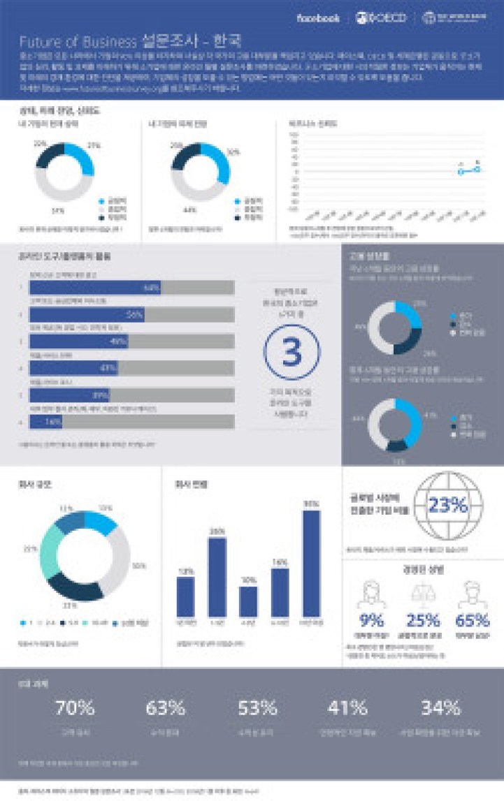 SMESurveyInfographic_New countries_Dec16