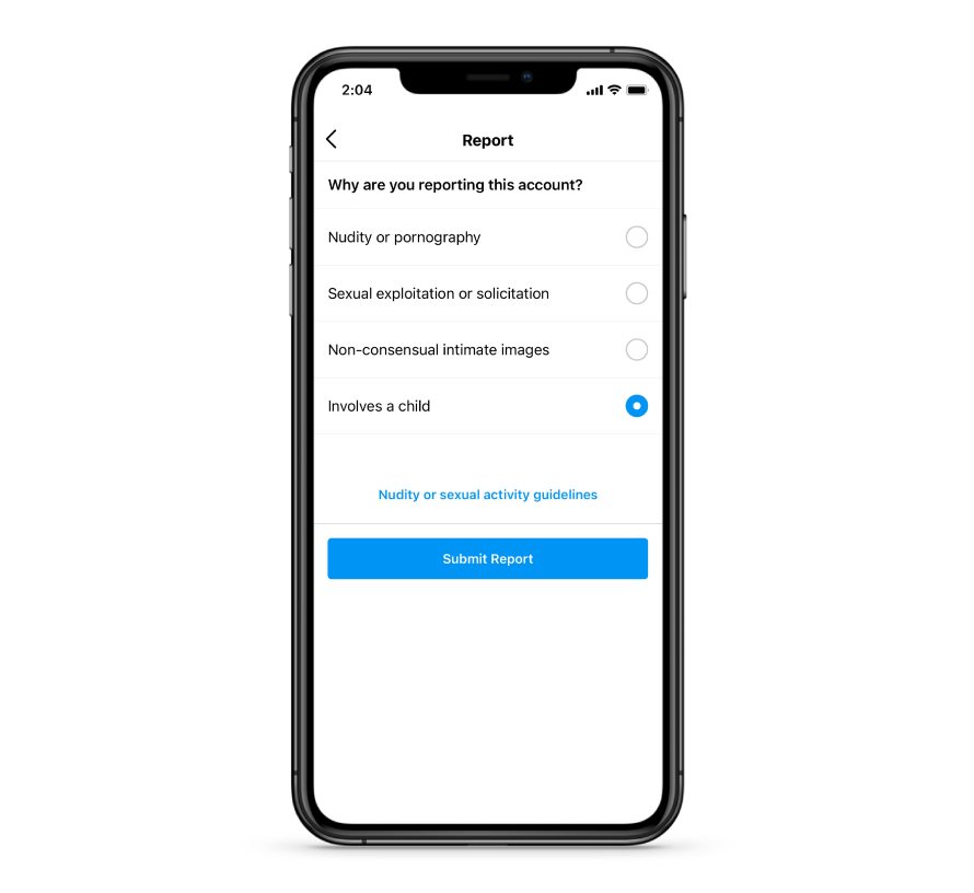 Screenshot of child exploitation report