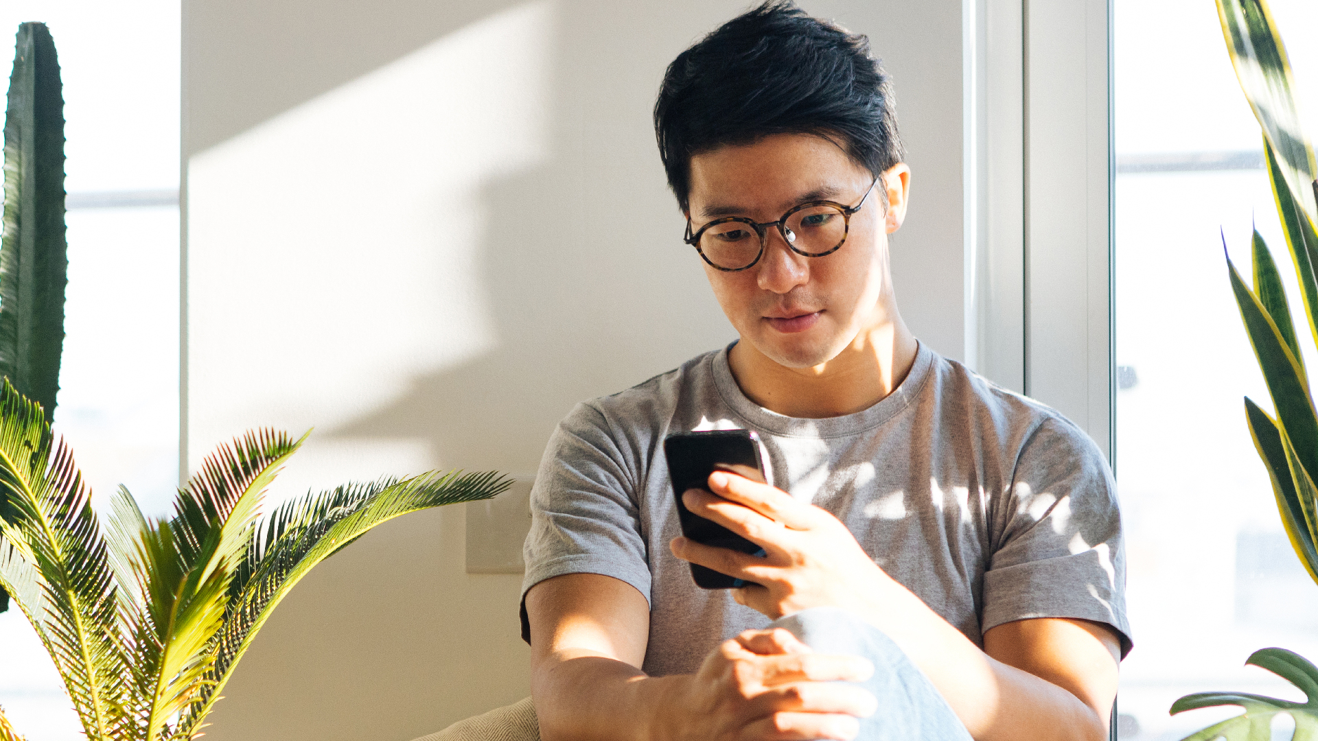 Person on their phone, inside