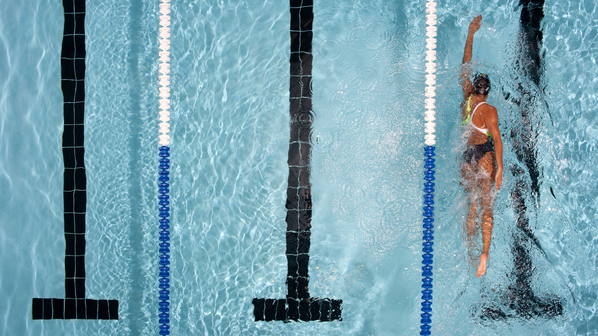 Photo of a person swimming in a pool lane