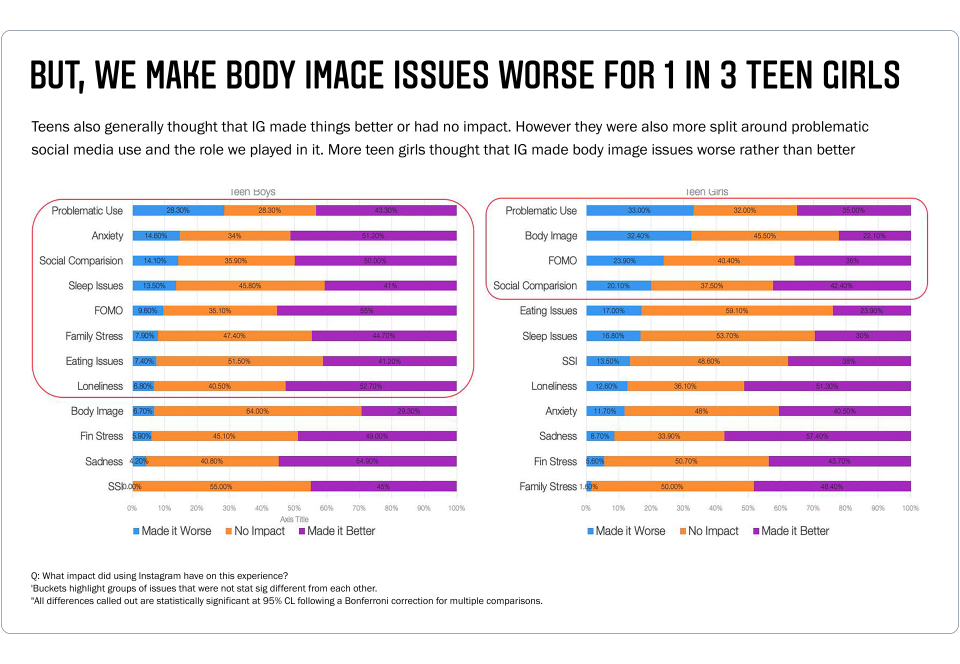 Slide showing results from Instagram research