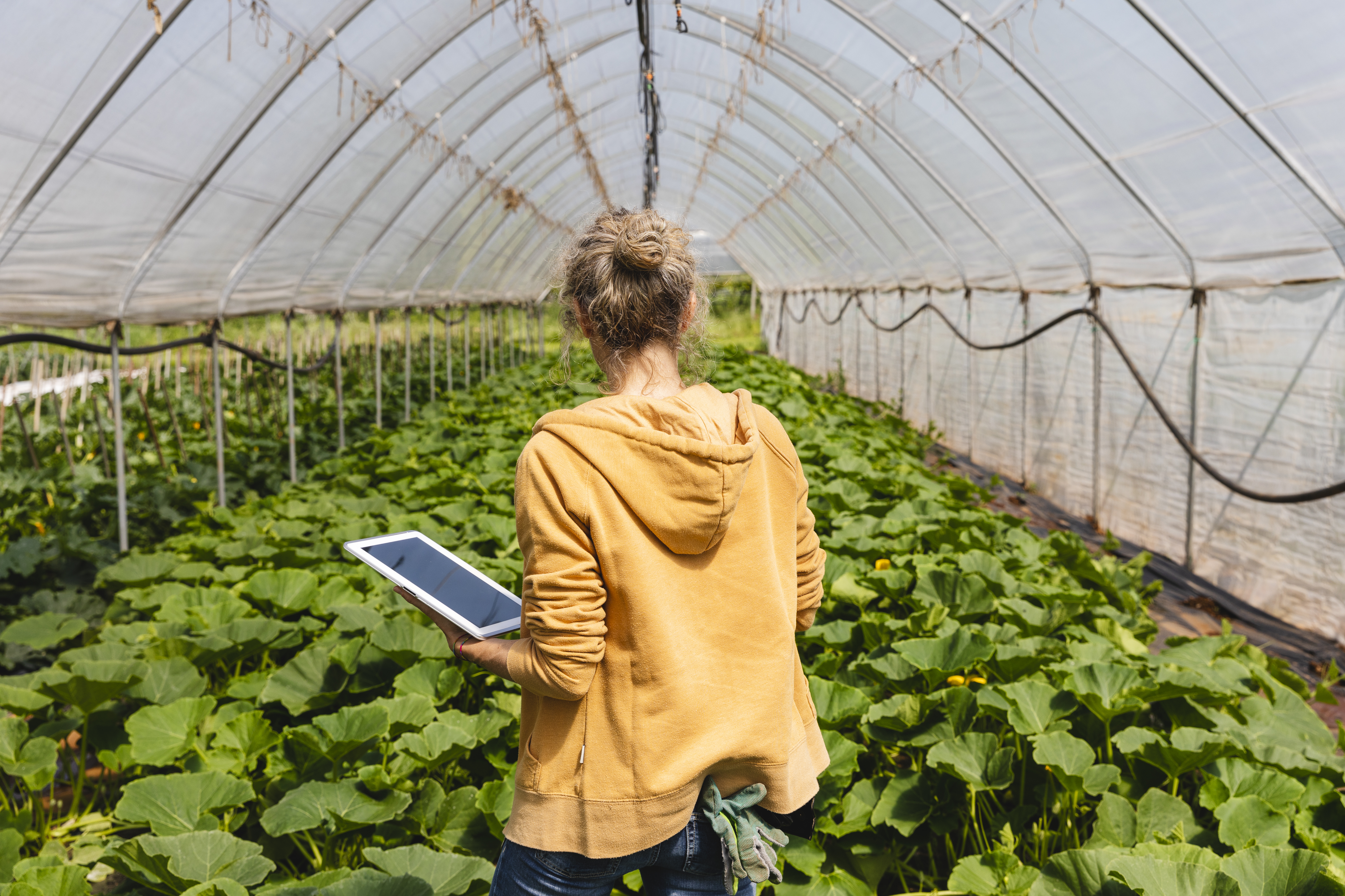 Woman in a greenhouse