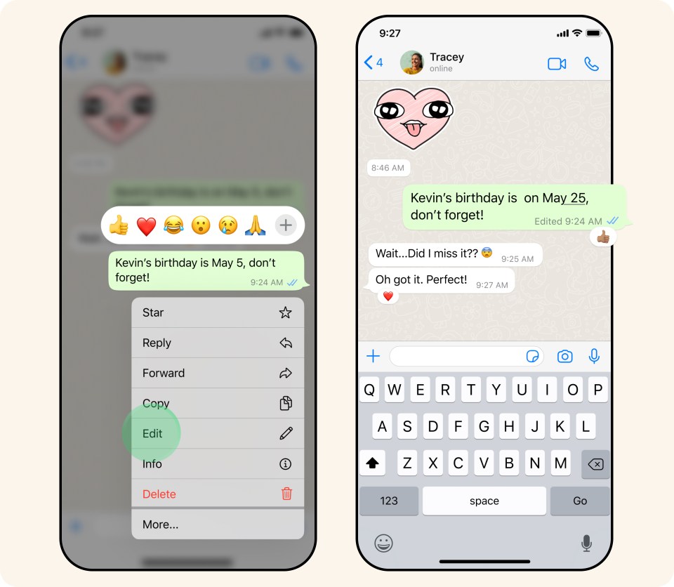 An image of an edited WhatsApp message in a conversation.