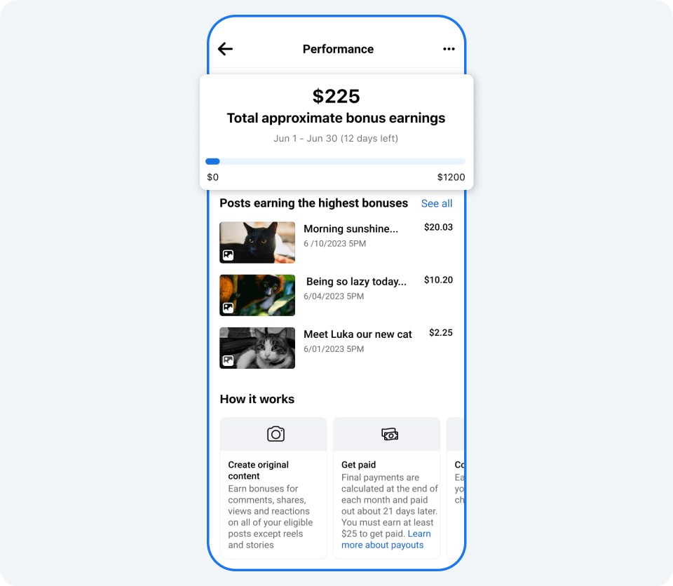 Phone screen showing Performance (total bonus earnings etc.)
