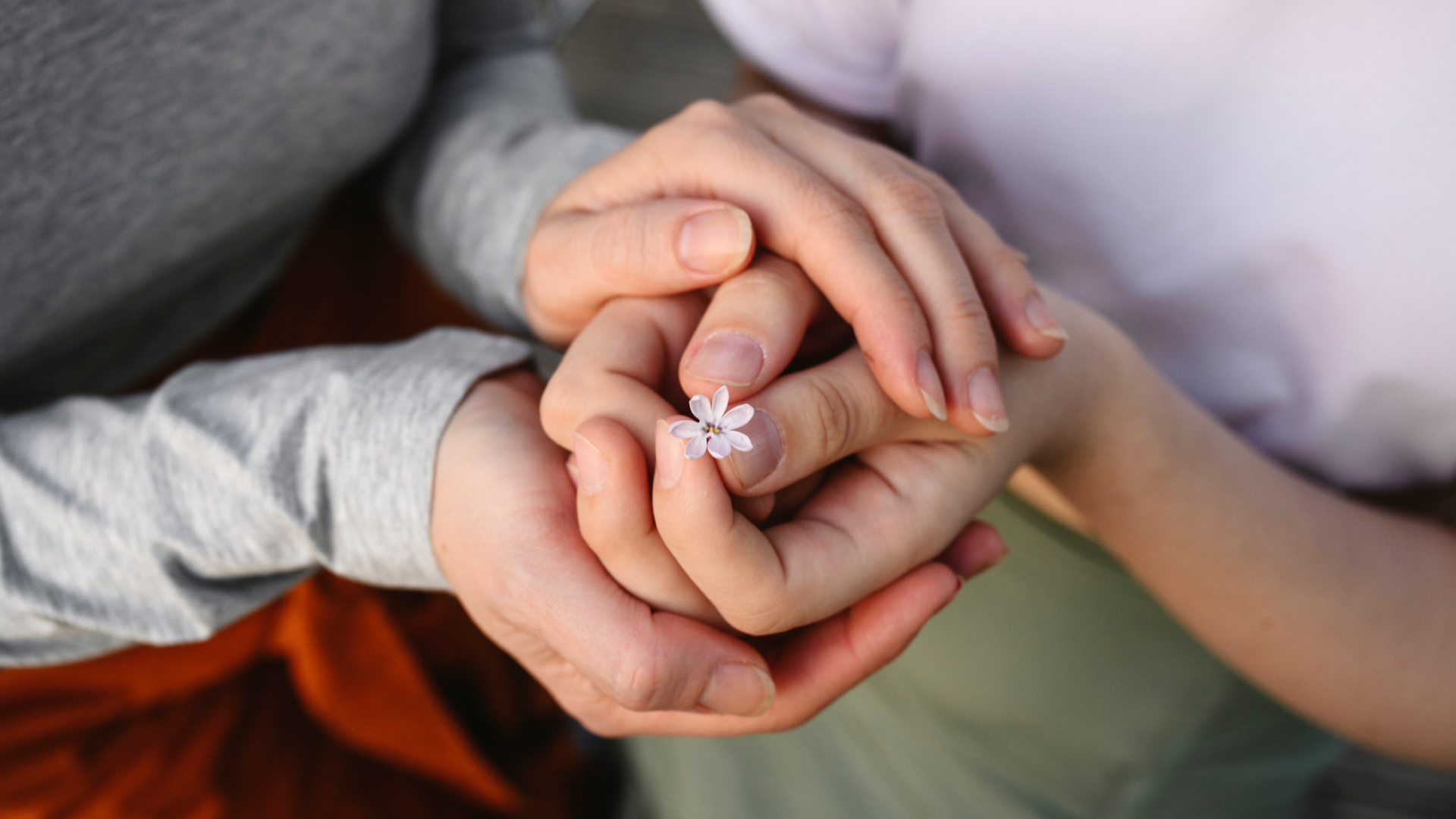 A photo of one pair of child's hands clutching another child's hands, with a flower in the second pair of hands.